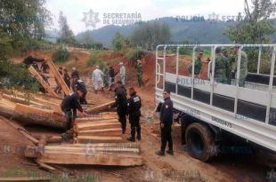 Autoridades aseguraron más de 46 mil metros cúbicos de madera de dudosa procedencia