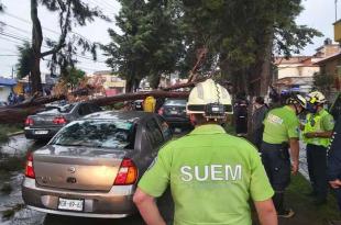 #Video: Aguacero en #Zinacantepec derriba árbol sobre autos