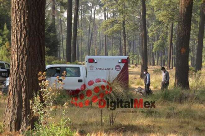 El cuerpo estaba calcinado y comenzaba a ser devorado por la fauna