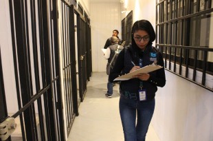 Estas acciones se realizan para verificar instalaciones, procedimientos expedientes, evaluar el grado de implementación de la norma y garantizar que los procedimientos en la materia se realicen con apego a la legalidad y los derechos humano