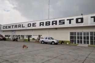 Creciente población canina en inmediaciones de la Central de Abasto de Toluca