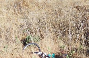 El ciclista circulaba con dirección a Ecatepec cuando fue alcanzado por un vehículo que al parecer circulaba a exceso de velocidad