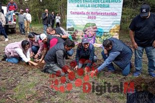 Inicia jornada de reforestación en Villa Victoria 