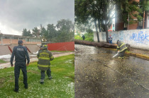 Árbol caído y barda derrumbada atendidos por Protección Civil tras las lluvias en Toluca