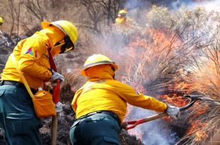 Las autoridades estatales y municipales deben mejorar sus estrategias y equipo para atender los incendios forestales en temporadas de altas temperaturas.