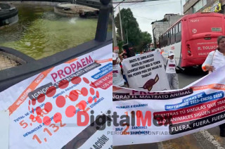 ¡Precaución! Defensores de animales toman las calles de #Toluca: se dirigen a Palacio de Gobierno