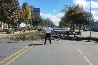 En las labores participaron elementos de la Dirección de Sustentabilidad Vial, quienes agilizaron el flujo vehicular en la zona.
