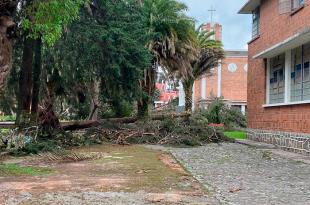 Probosque brinda mano de obra para la rehabilitación del espacio tras las fuertes lluvias.