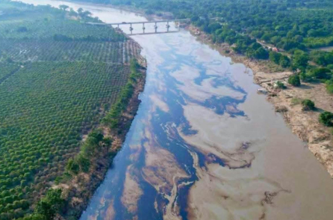 Derrame de hidrocarburos contamina playas y ecosistemas del norte de Veracruz