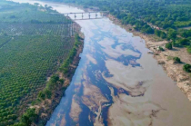 Derrame de hidrocarburos contamina playas y ecosistemas del norte de Veracruz