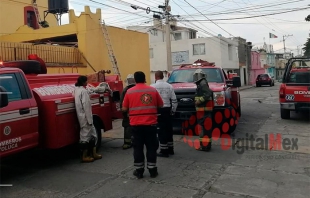 #Toluca: Enjambre pica a bomberos y abuelito