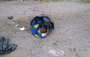 #Toluca: perro muerto en bolsa alerta a policías y paramédicos