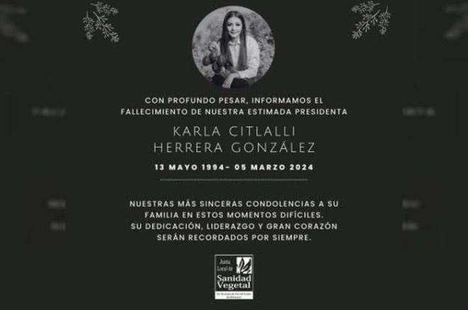 Karla Citlali era líder de una empresa de aguacate en Michoacán