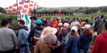 Exitosa reforestación de DigitalMex en el Nevado; la próxima, ¡por la Mariposa Monarca!