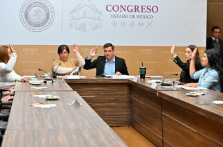 Comisiones del Congreso mexiquense aprobaron una reforma ambiental que obliga a los 125 municipios a elaborar catálogos de especies nativas para orientar la reforestación