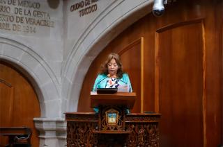 La diputada local de Morena, Rosa María Zetina González, presentó una iniciativa para implementar la Licencia Integral 
