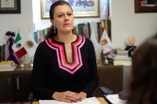 Mónica Álvarez Nemer, diputada local