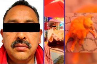 Acuchilló a perrito en Toluca, ya fue detenido