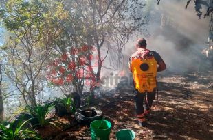 Incendio forestal en la comunidad de Carboneras, perteneciente al municipio de Temascaltepec