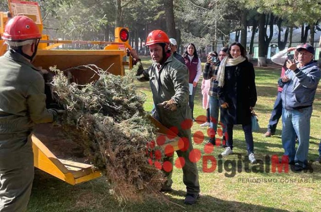 La campaña que hoy inicia, está prevista para recibir árboles hasta la primera semana de marzo, en las instalaciones de la Secretaría de Desarrollo Agropecuario (Sedagro).