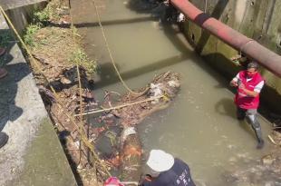 Se realizarán pruebas en el agua antes y después de la limpieza