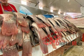 En el Mercado Juárez de Toluca, entre hieleras rebosantes de mojarra y montones de camarón recién llegado de la costa, Luis Martínez acomoda su mercancía.