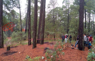 Mientras reforestaba, rayo mata a joven de 19 años, en Villa Victoria