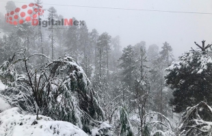 Saldo &quot;blanco&quot; en comunidades del Nevado de Toluca