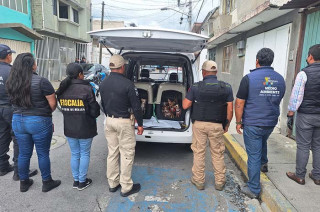 Los perros serán trasladados a fundaciones de protección animal para mejorar su calidad de vida y promover su adopción responsable.