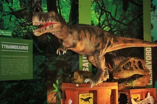 En Ecatepec puedes visitar gratis el Museo “Jurásica”