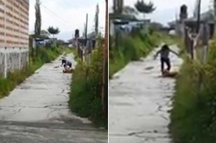 #Video: #RedesSociales: Graba cuando golpean a su perro con martillo y &quot;no lo defiende&quot;, en Otzolotepec
