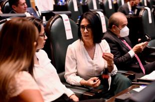 La legisladora Karina Labastida presentó la introducción, antecedentes y resolutivos del dictamen actualizado y el proyecto de decreto.