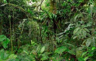 Cae avioneta Cesna en sierra de Chilpancingo