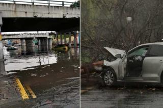 Se registró la caída de un árbol sobre Paseo Tollocan