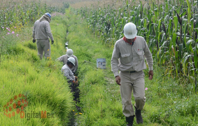 Senado aumenta penas por robo y comercialización de hidrocarburos