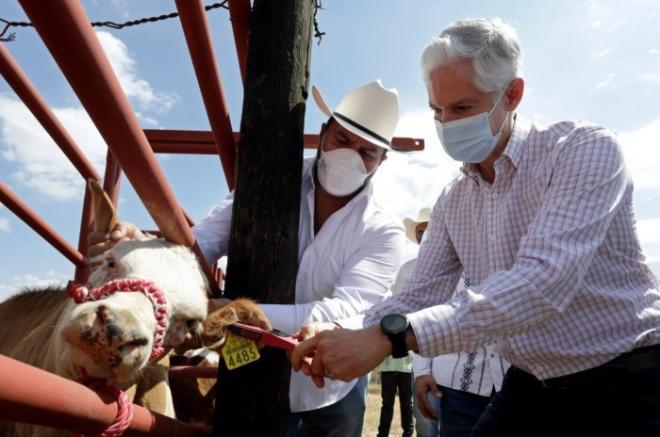 Gobernador del Edoméx en Rancho La Ceiba Vences, Tejupilco