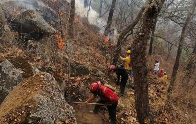 El incendio es combatido mediante la técnica de “brecha cortafuego", que consiste en realizar una brecha sobre el terreno hasta llegar al material mineral para evitar que este se propague