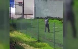 Las imágenes fueron difundidas por varios internautas, incluso por la protectora Mundo Patitas.