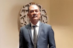 Tumba Burros Digital