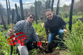 Omar Sánchez, durante el arranque de la campaña “Plantemos vida”