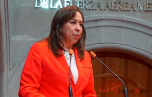 Necesario crear comisiones edilicias en 11 municipios con Alerta de Género: Mercedes Colín
