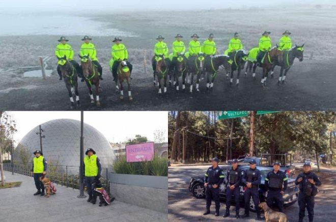 En el operativo &quot;Visitante Seguro&quot; participan ocho coordinaciones operativas, con elementos de la SS Edoméx.