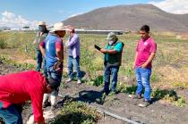 En el municipio pueden observarse invernaderos destrozados, la producción está en riesgo y las deudas son insoportables.