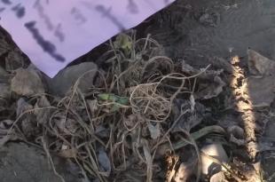 El reporte indica que el cuerpo estaba en un punto despoblado, cerca de la carretera Tepetlixpa-Juchitepec.