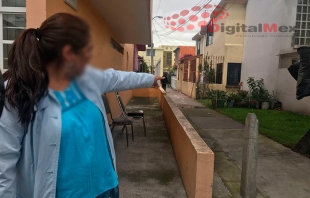 Envenenan a más de 30 mascotas en colonia de Toluca