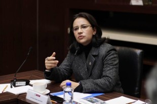 La legisladora manifestó que hace unos días recibió a 29 representantes de colectivos de motociclistas, con quienes acordó trabajar en conjunto para ajustar y mejorar la iniciativa.