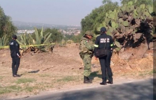 Hallan a hombre sin vida entre magueyes de Teotihuacán