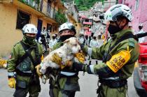 Los bomberos la llevan en brazos