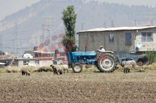 Por uso de agroquímicos suelo pierde calidad para el cultivo