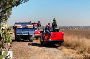 Dueño del rancho Padilla niega tener 4 leones